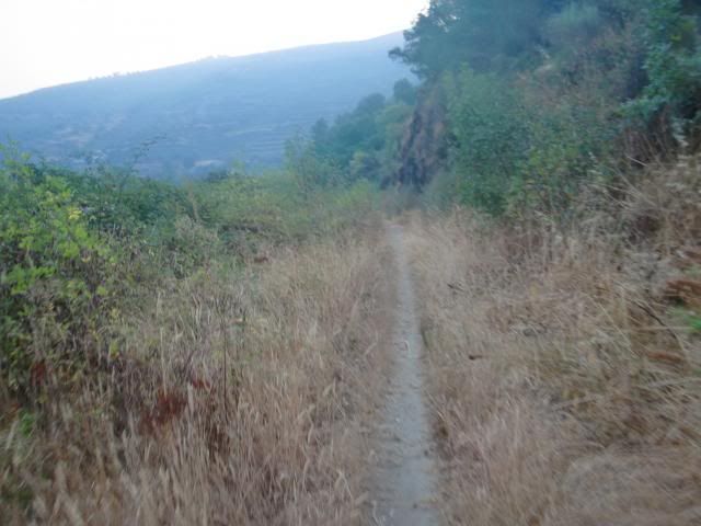 photo CIMG9539_zps7a65b49e.jpg