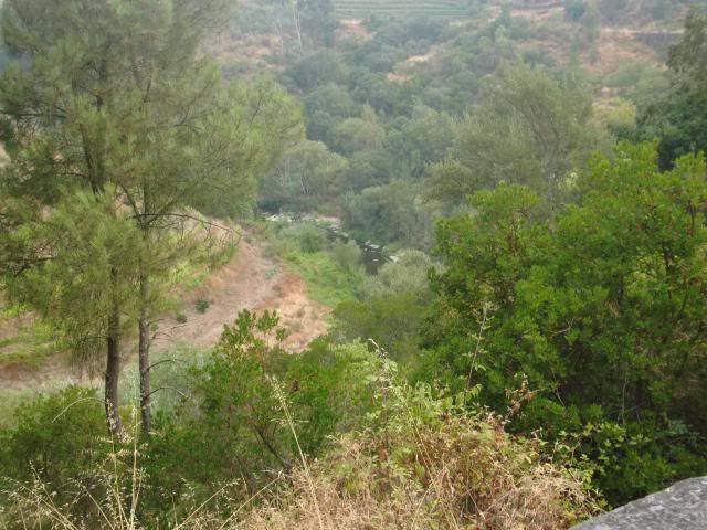 photo CIMG9540_zps5a57ebbd.jpg