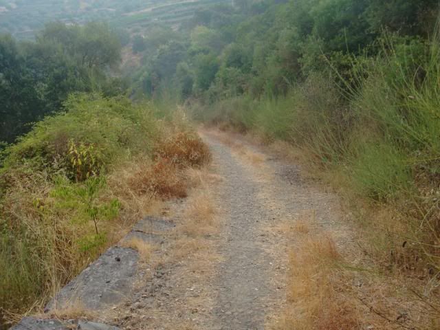 photo CIMG9541_zps2adeec8f.jpg