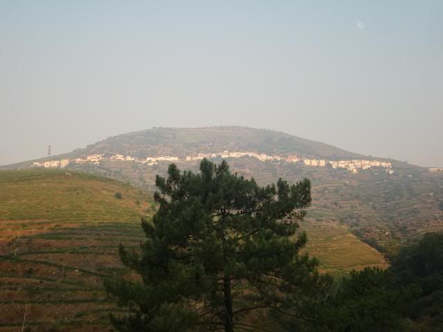 photo CIMG9542_zpsbae610df.jpg