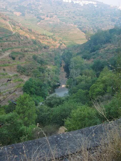 photo CIMG9543_zpsff9405b3.jpg