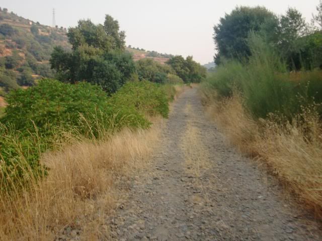 photo CIMG9544_zpsb2d66c61.jpg