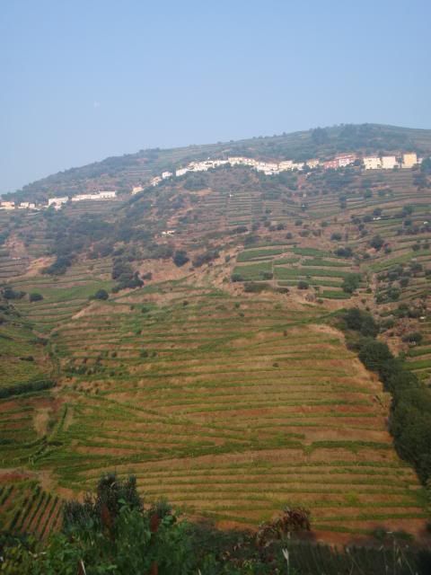 photo CIMG9547_zps77f52286.jpg