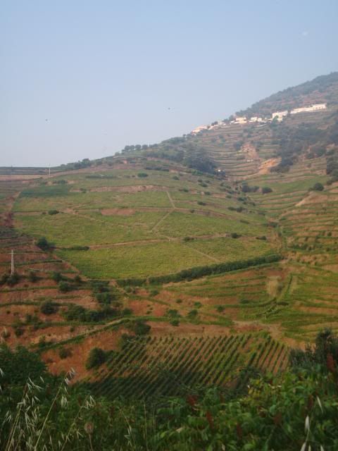 photo CIMG9548_zpsf3778a6e.jpg