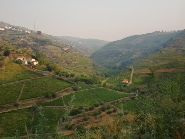 photo CIMG9549_zpsba1c89b3.jpg