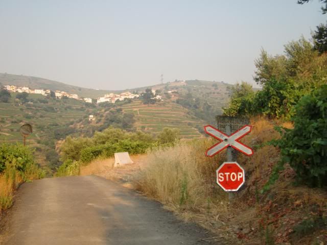 photo CIMG9551_zpscaa6052c.jpg