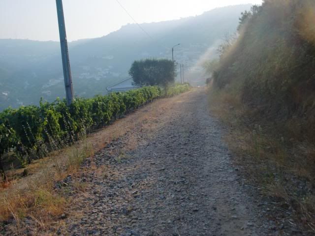 photo CIMG9553_zpsfede1ae1.jpg