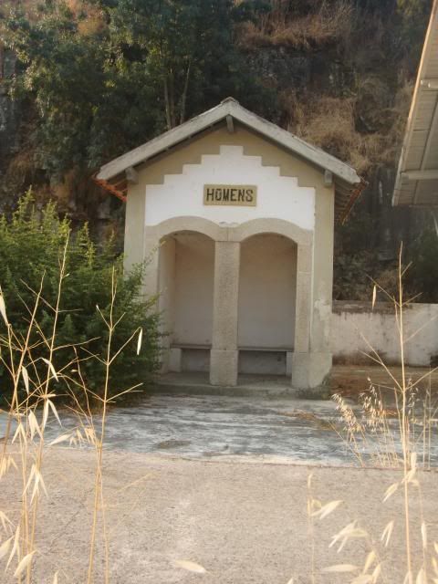 photo CIMG9556_zpsd4fabf70.jpg