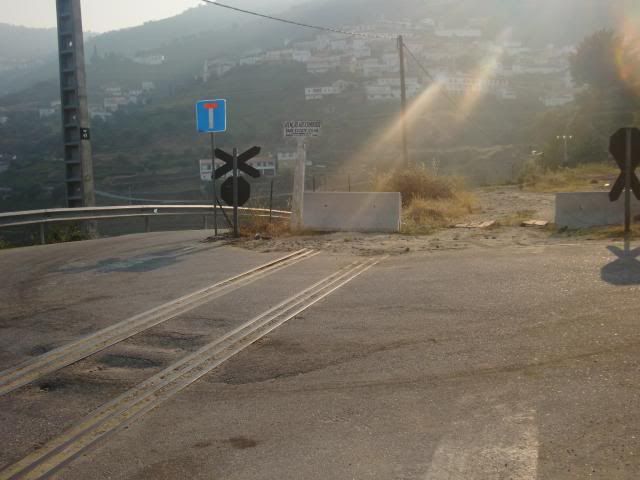 photo CIMG9558_zps2b7c8359.jpg