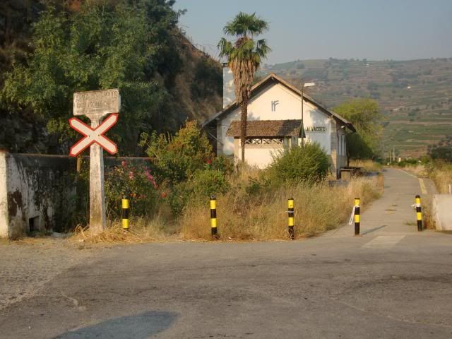 photo CIMG9563_zps0d2f7164.jpg