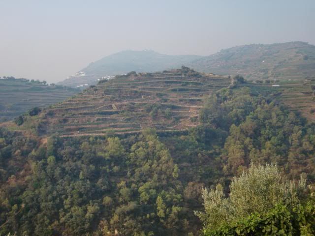 photo CIMG9567_zps3b39909d.jpg