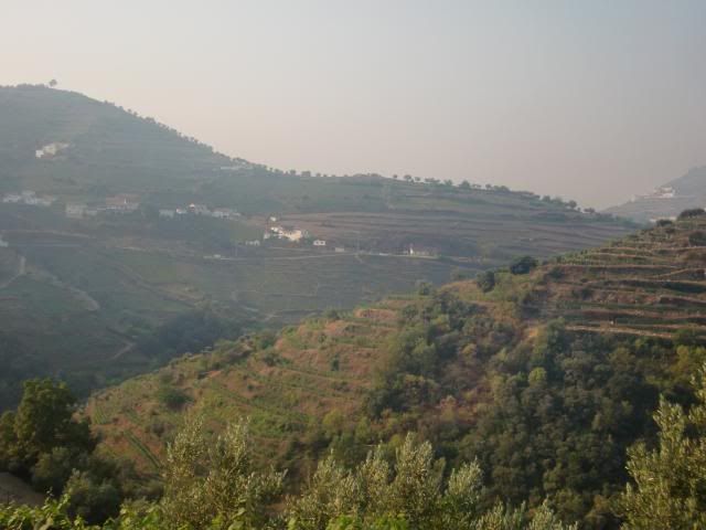 photo CIMG9568_zpse403e499.jpg