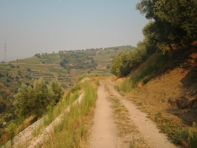 photo CIMG9569_zps2f6f2a94.jpg