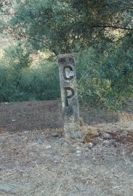 photo CIMG9572_zps76e4eeb7.jpg