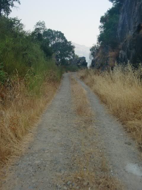 photo CIMG9575_zpsf918a2dc.jpg