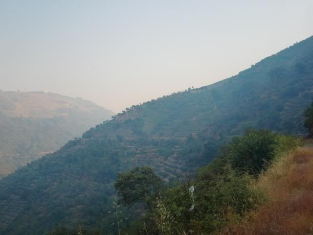 photo CIMG9578_zps57365d22.jpg