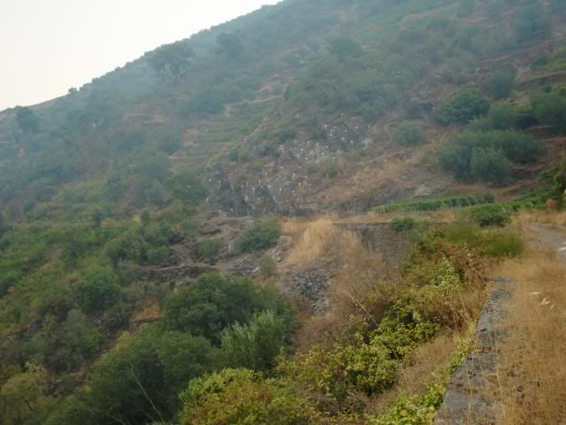 photo CIMG9579_zps12d19bc2.jpg