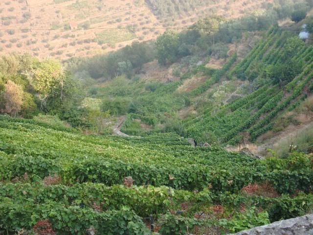 photo CIMG9581_zps07e2581e.jpg