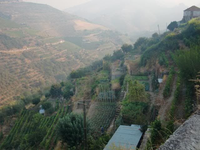 photo CIMG9582_zps28e597e5.jpg