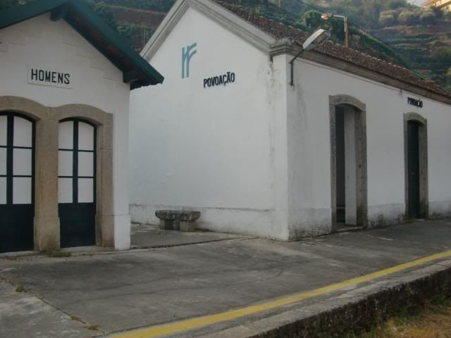 photo CIMG9585_zps596aa183.jpg