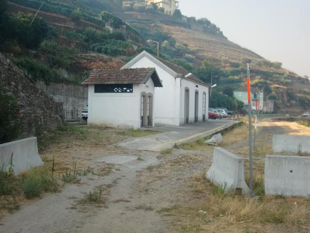 photo CIMG9586_zps0c4f71c2.jpg