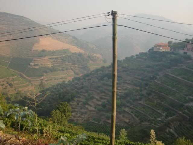 photo CIMG9589_zps6c5e128a.jpg