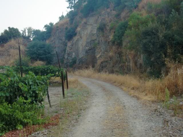 photo CIMG9592_zpsb012732b.jpg