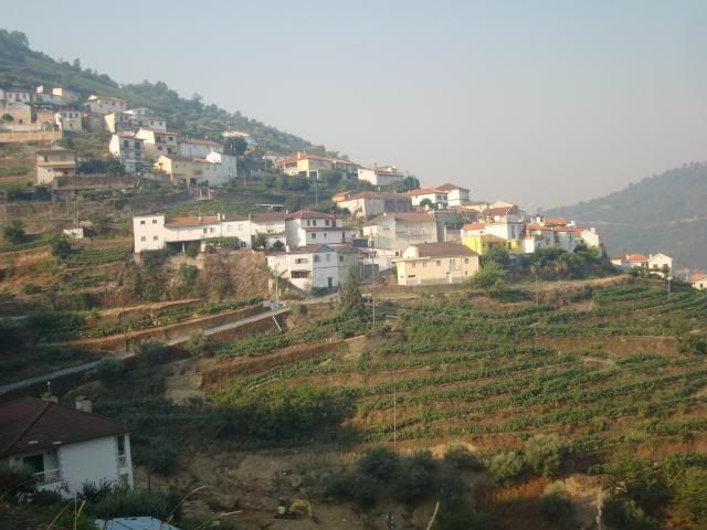 photo CIMG9594_zpsa9e93629.jpg