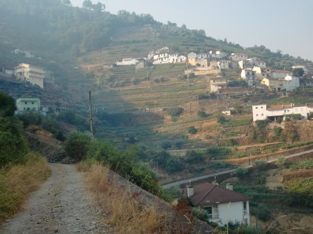 photo CIMG9595_zps2b7d5ac1.jpg