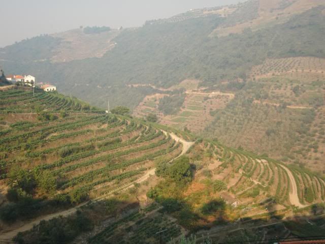 photo CIMG9596_zps4eff507a.jpg