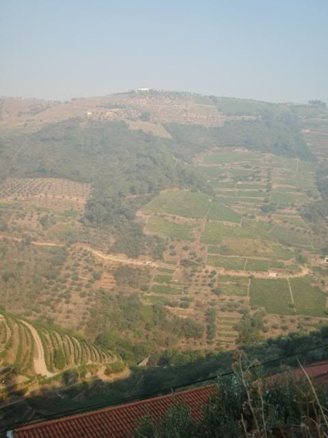 photo CIMG9597_zps475690a2.jpg