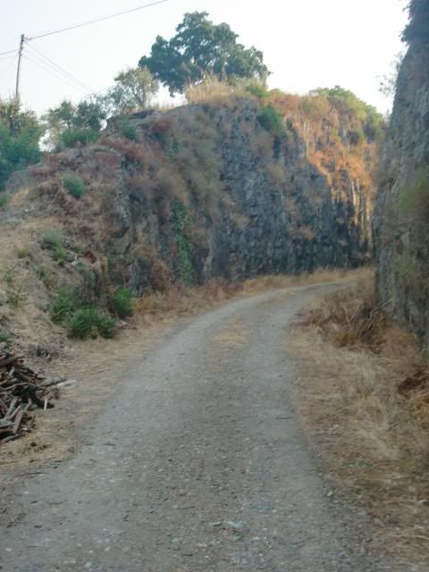 photo CIMG9598_zps2cde471f.jpg