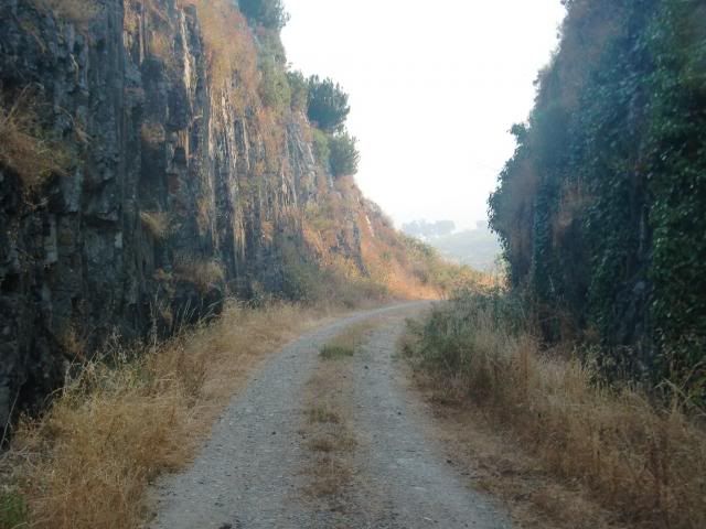 photo CIMG9599_zpsecb83bf9.jpg