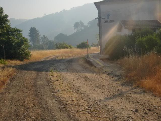 photo CIMG9600_zps79c41065.jpg