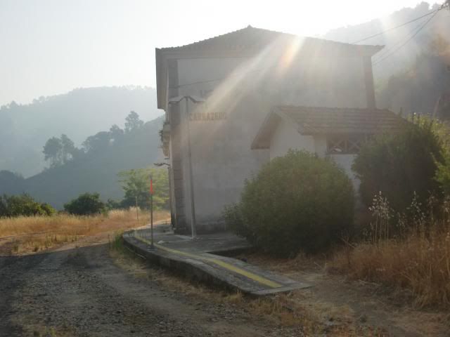 photo CIMG9601_zps1816e340.jpg