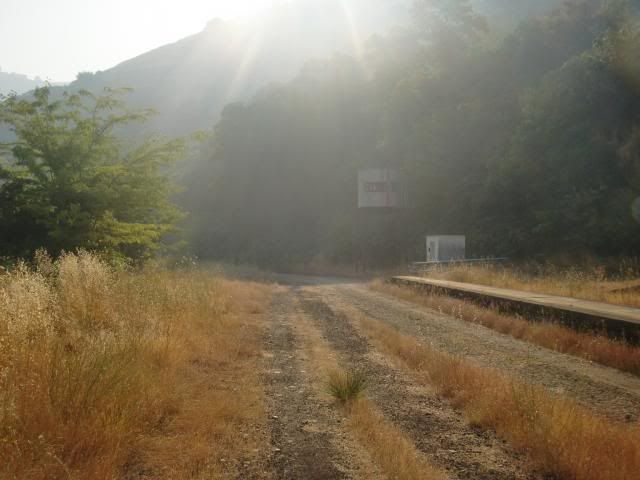 photo CIMG9606_zps81f56925.jpg