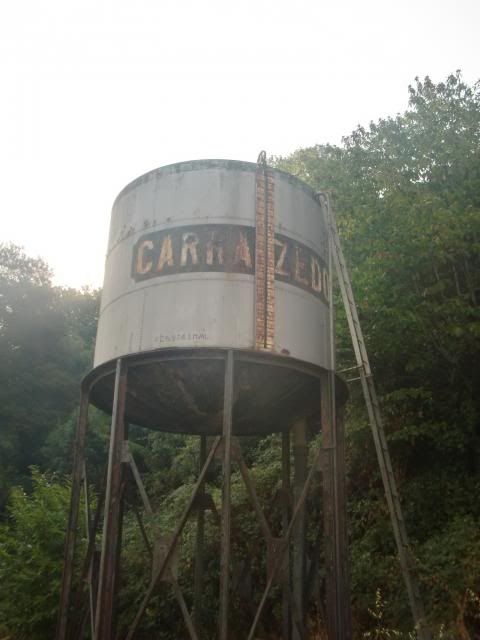 photo CIMG9609_zps1c92f30b.jpg