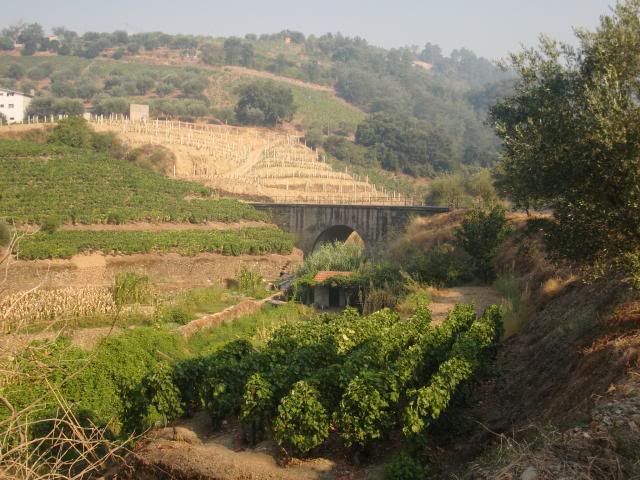 photo CIMG9611_zps11e8bfb1.jpg