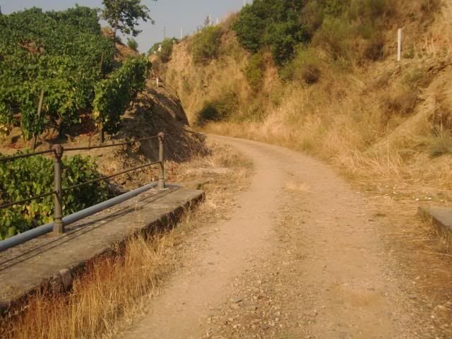 photo CIMG9613_zpsee59bb0b.jpg