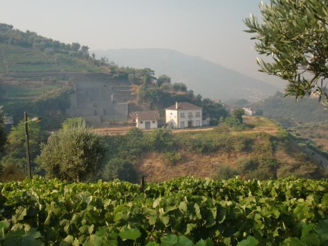 photo CIMG9614_zps5684d2ce.jpg