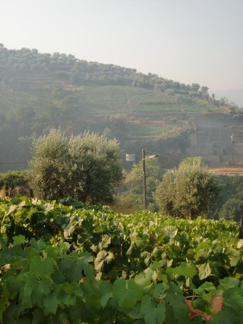 photo CIMG9615_zpsec2f5d02.jpg