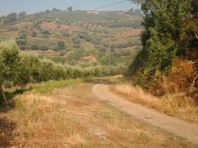 photo CIMG9617_zps60617735.jpg