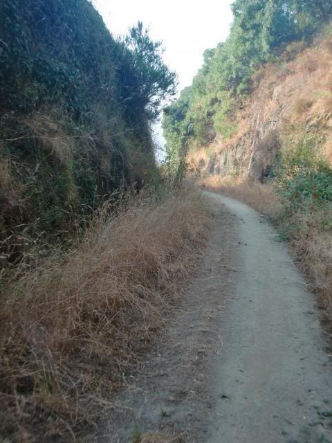 photo CIMG9618_zps9be1e278.jpg