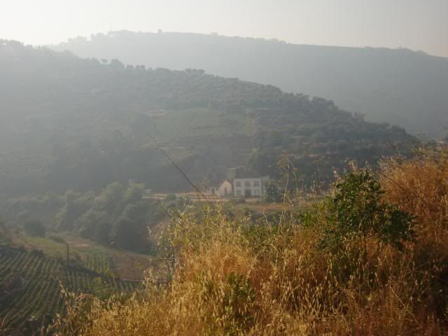 photo CIMG9620_zps2f9af9e8.jpg