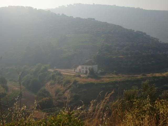 photo CIMG9621_zpse69246b7.jpg