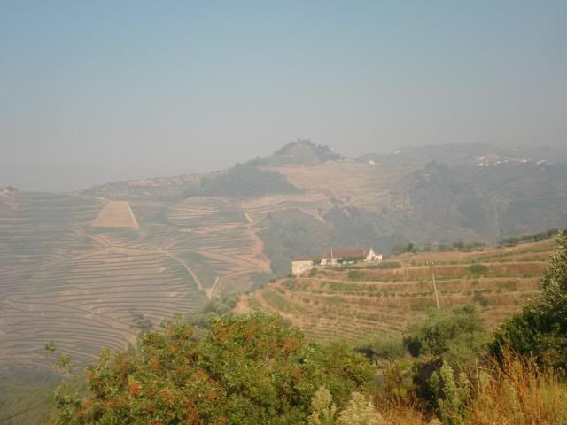 photo CIMG9624_zps21215a5d.jpg