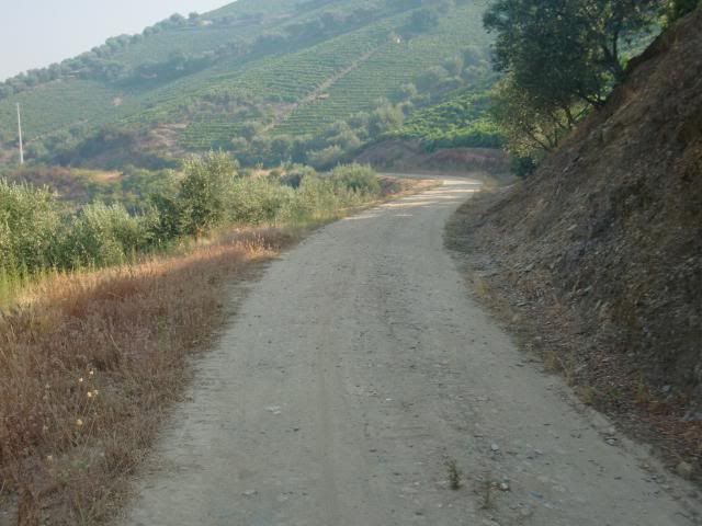 photo CIMG9625_zps4de565a9.jpg