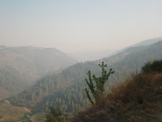 photo CIMG9626_zps5505d792.jpg