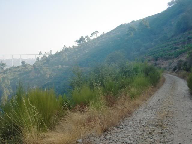 photo CIMG9632_zps61a10f3a.jpg