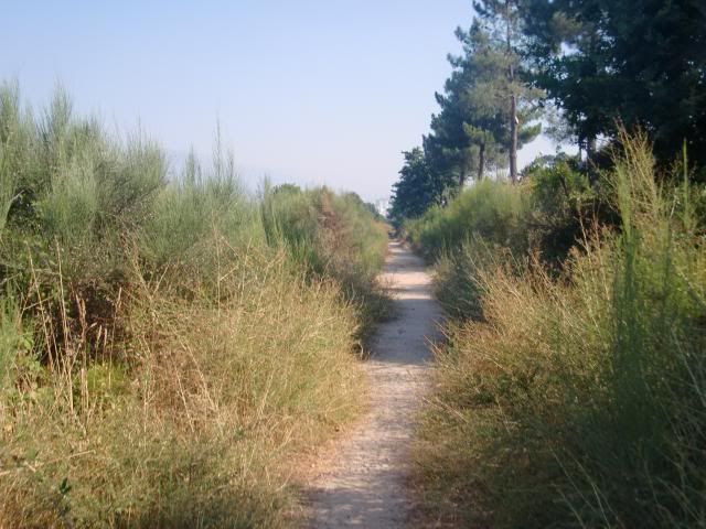 photo CIMG9637_zps0d03c976.jpg